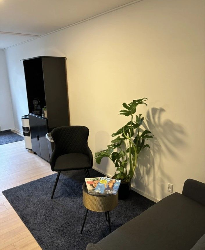 Kælderlokale med sofa, bord, plante og stol samt kabinet og papirkurv på gulvet