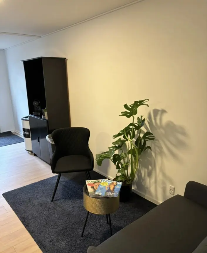 Kælderlokale med sofa, bord, plante og stol samt kabinet og papirkurv på gulvet