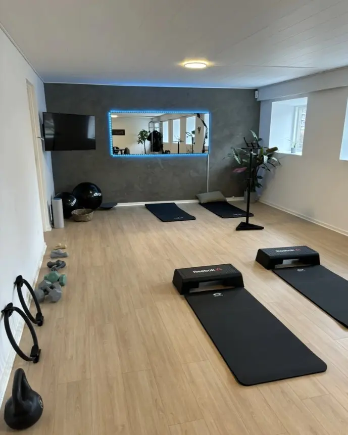 Fitnessrum med Reebok udstyr, yogamåtter og fitnessbolde. En tv-skærm og plante i rummet