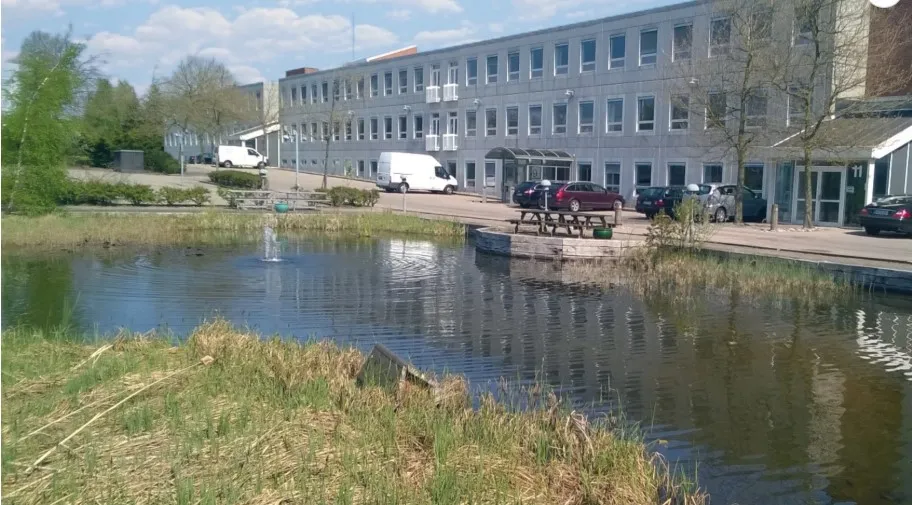 Vand med søskæg og græs samt en lille bro og en vandfadspike i Birkerød. Foran vandet er der parkeringspladser med en hvid