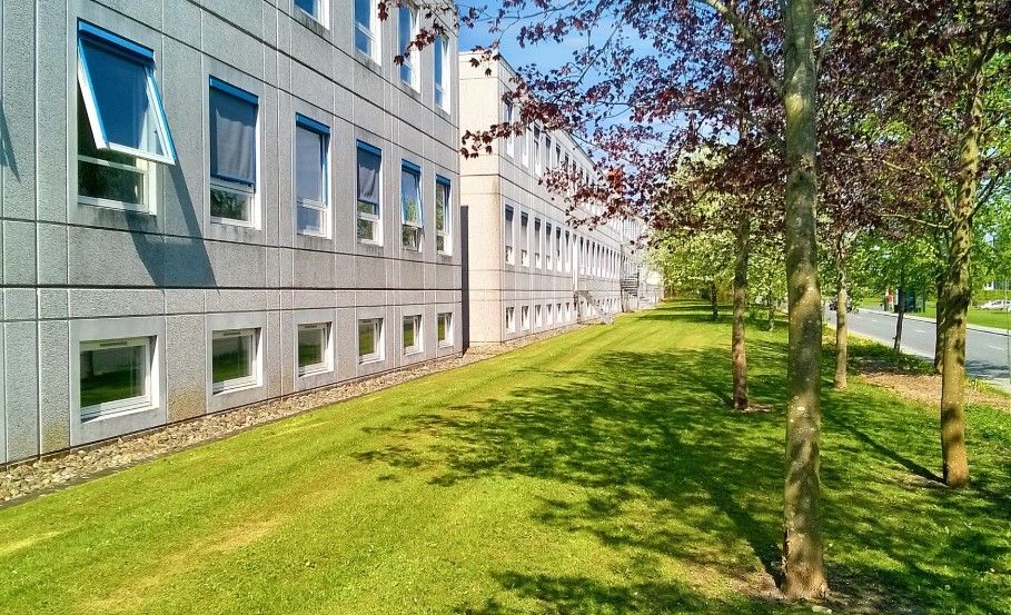 Moderne kontorbygning med glasvinduer og skyggelagte græsplæner langs en fredelig gade med parkerede biler og parkeret bus.