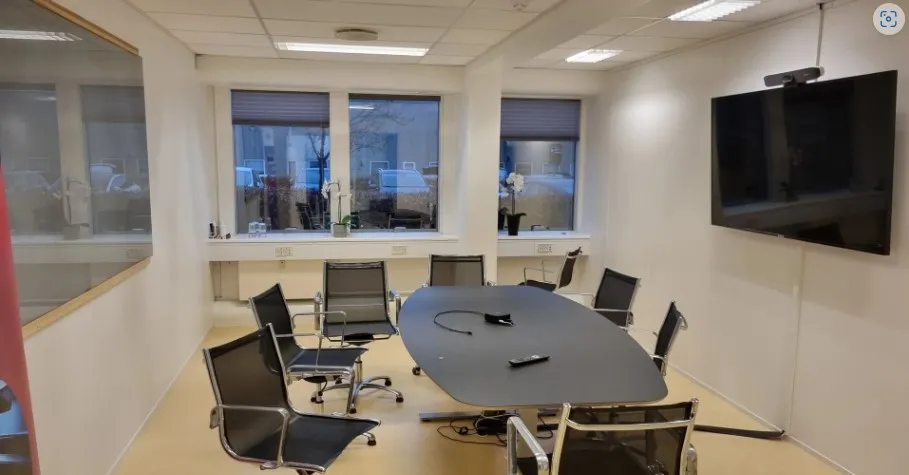 Kontor med ovalt mødebord og stole, to blomster og et tv på væggen