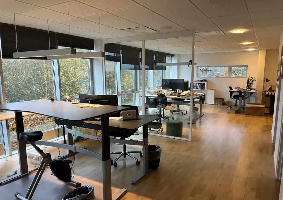 Kontorlokale med lyse gulve og store vinduer med udsigt til skoven og træer udenfor