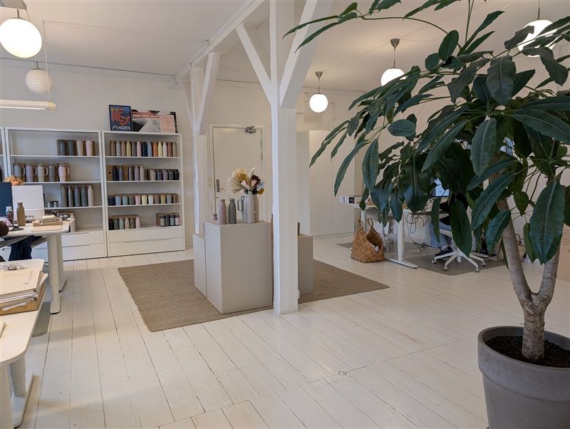 Kontorrum med hvide vægge, gulv og loft, med en stor plante, lysekroner og en stor hvid mellemstativ i midten
