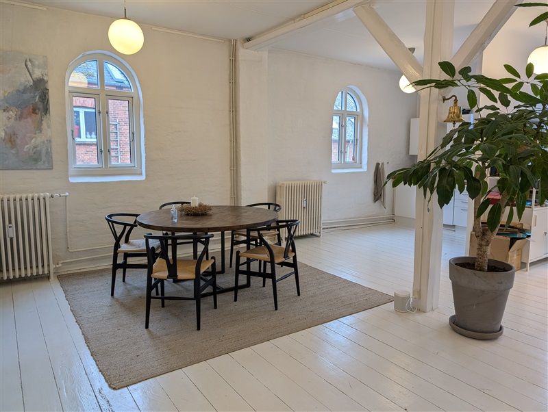 Foto af et moderne kontor med lyse vægge, en rund brun bord og lyse stole samt et stort grønt plante i en stor grå potte