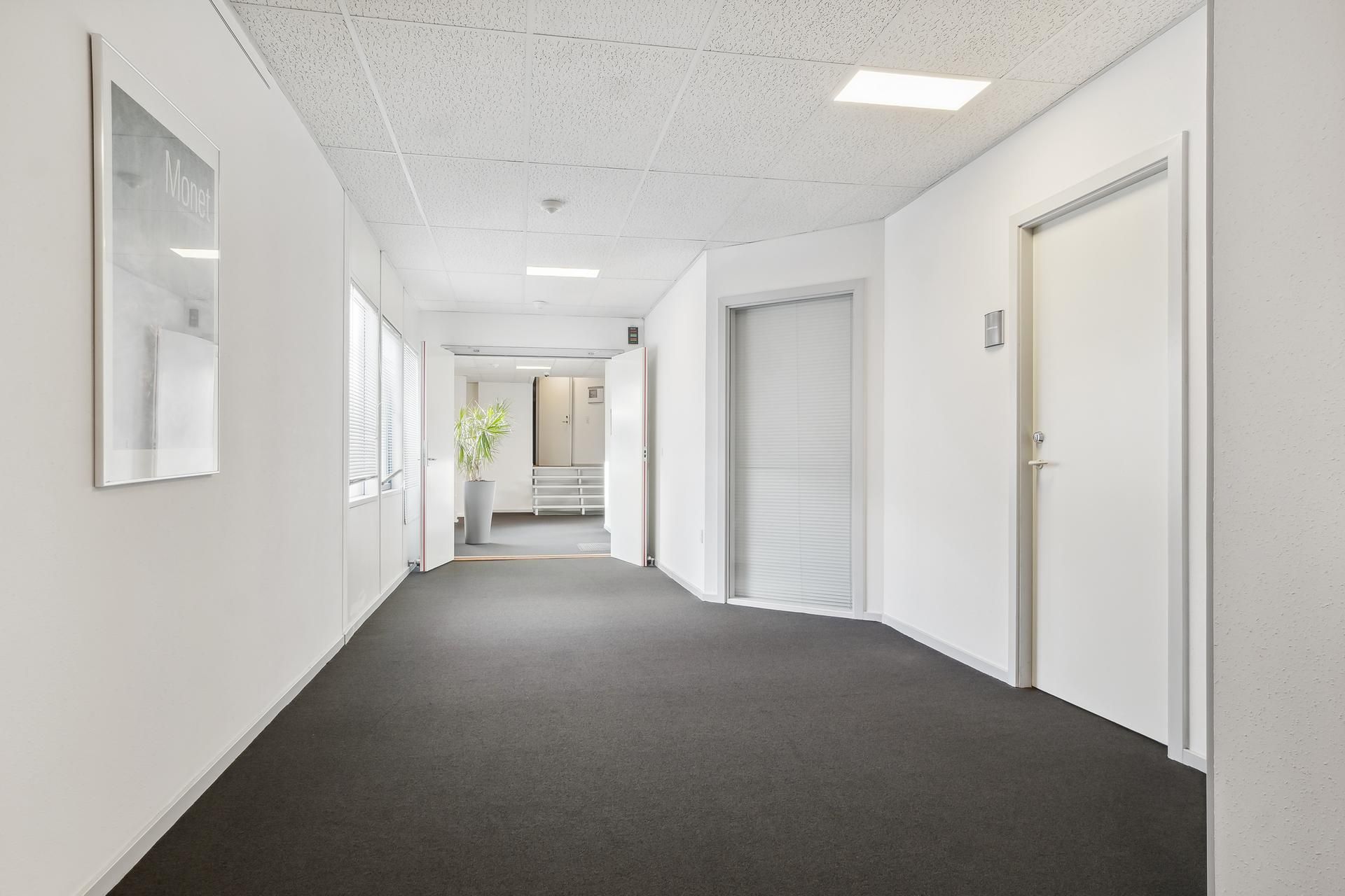En lang, glasklædt korridor med hvide vægge, hvor det er muligt at se ind i et kontorlokum med hvide vægge, et hvidt loft og