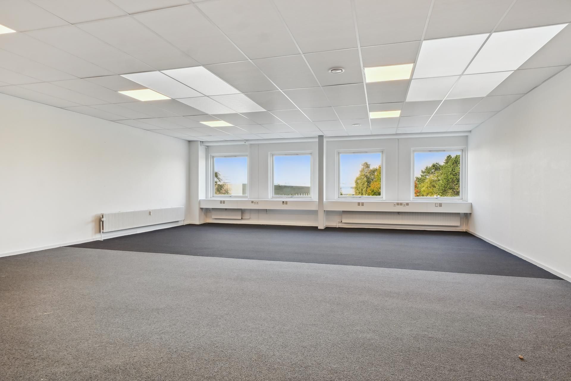 Kontor med hvide vægge, gulv og loft, tre vinduer med udsigt til grønne træer og et gult himmelloft