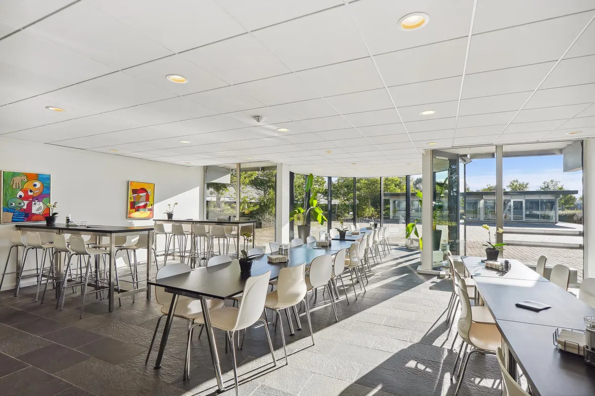 Kontorlokaler med højt til loftet, lyse loftslampe og store vinduer med udsigt til park. Bord og stole med plante og