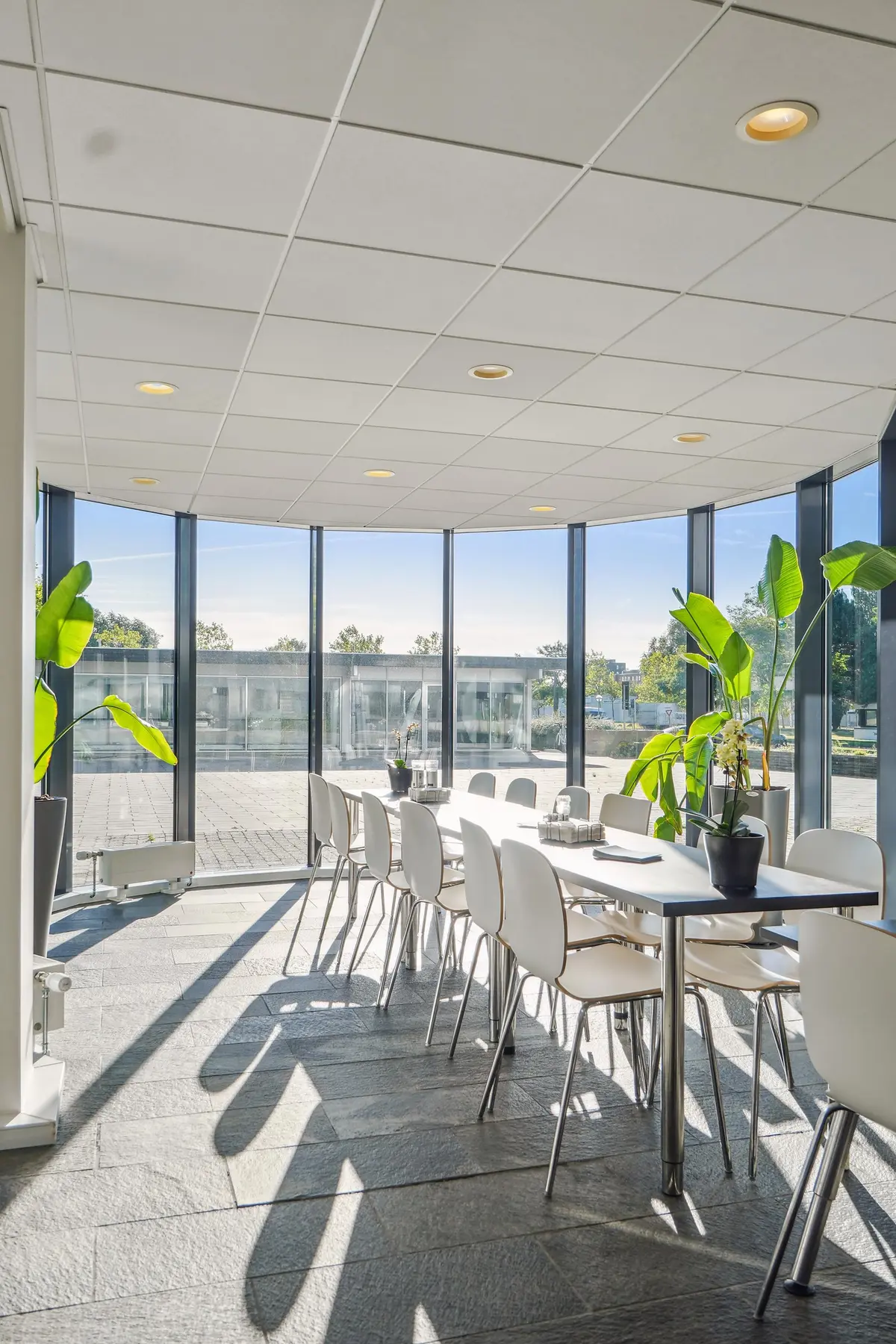 Kontorlokaler med runde ruder, lysegult loft, hvide stole, to planter og et langt bord med glas