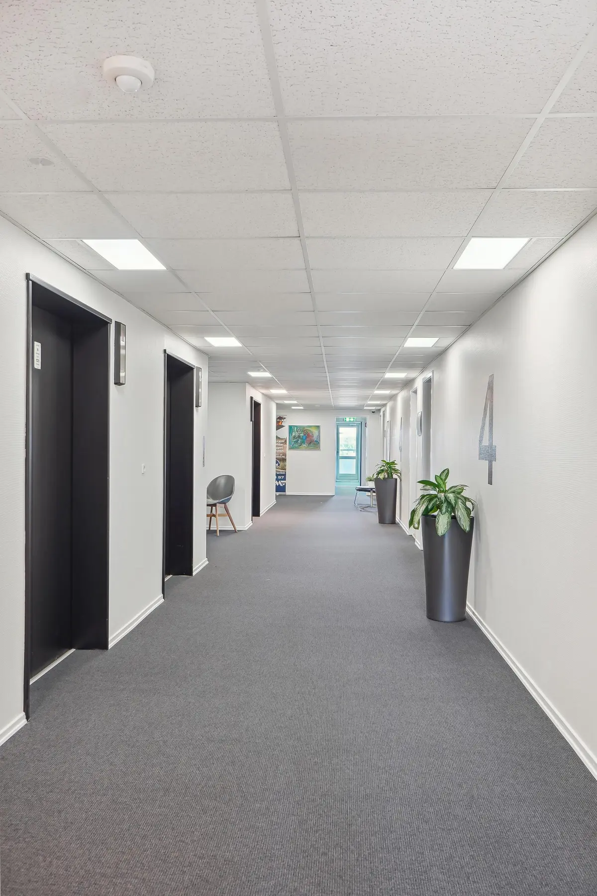 Lys lysegang med højt hvælvet loft, moderne interiør, to plantepotter, hvide vægge, sort og grå gulvbelægning, moderne