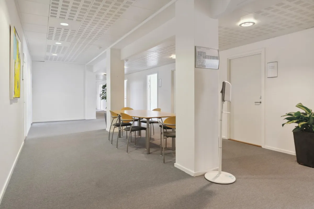 Kontorrum med bord og stole, plante i hjørne, hvid væg og loft, højt gulv og mørkegulvtæppe