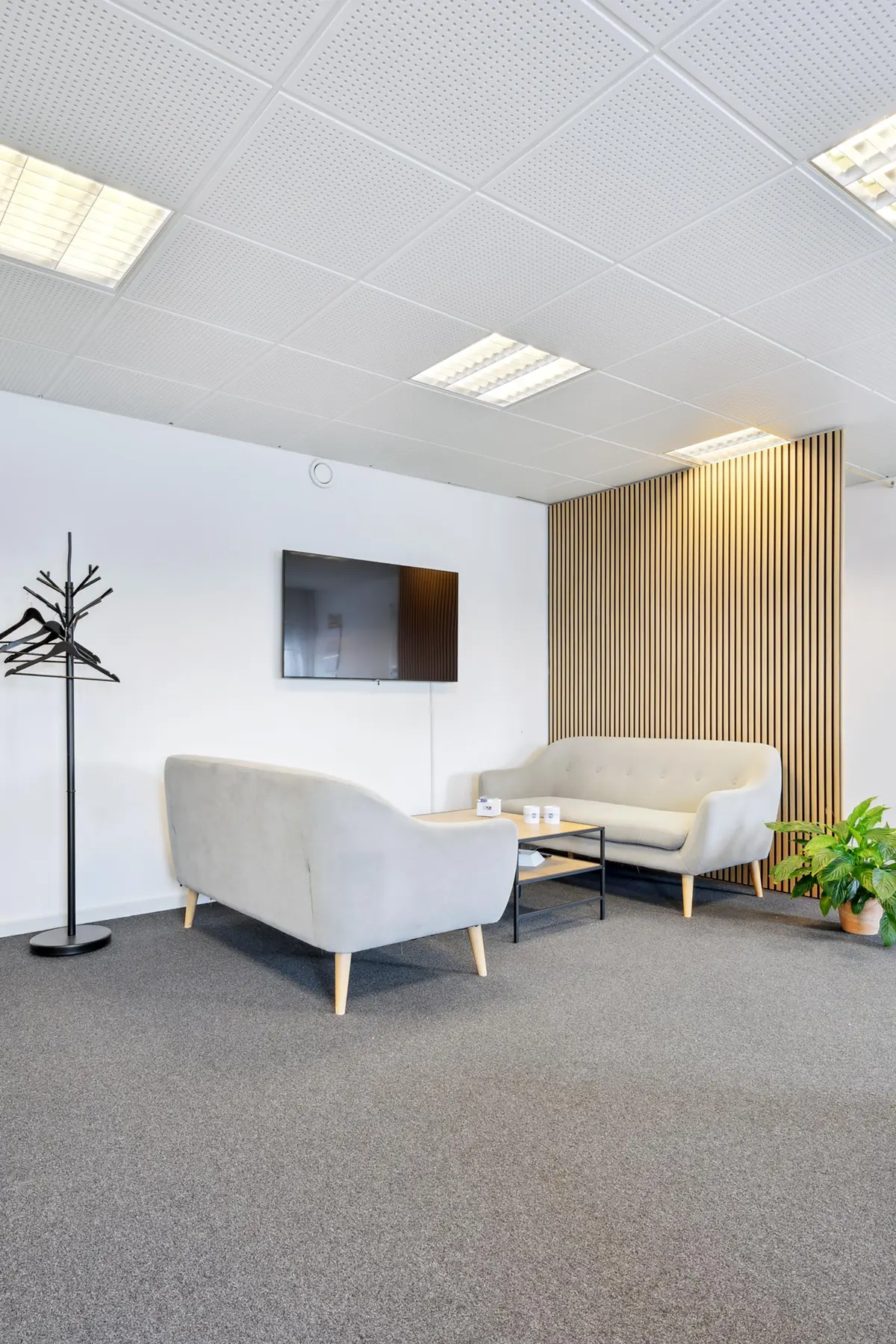 Minimalistisk interiør med hvide vægge og gulvtæppe og to hvide sofaer med træben og kaffebord med puder og en plante og en