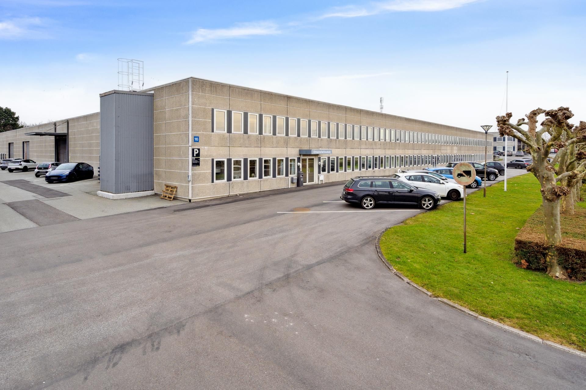 Forretningsbygning med parkeringsplads foran, adgangsvej med græsplæne og træer