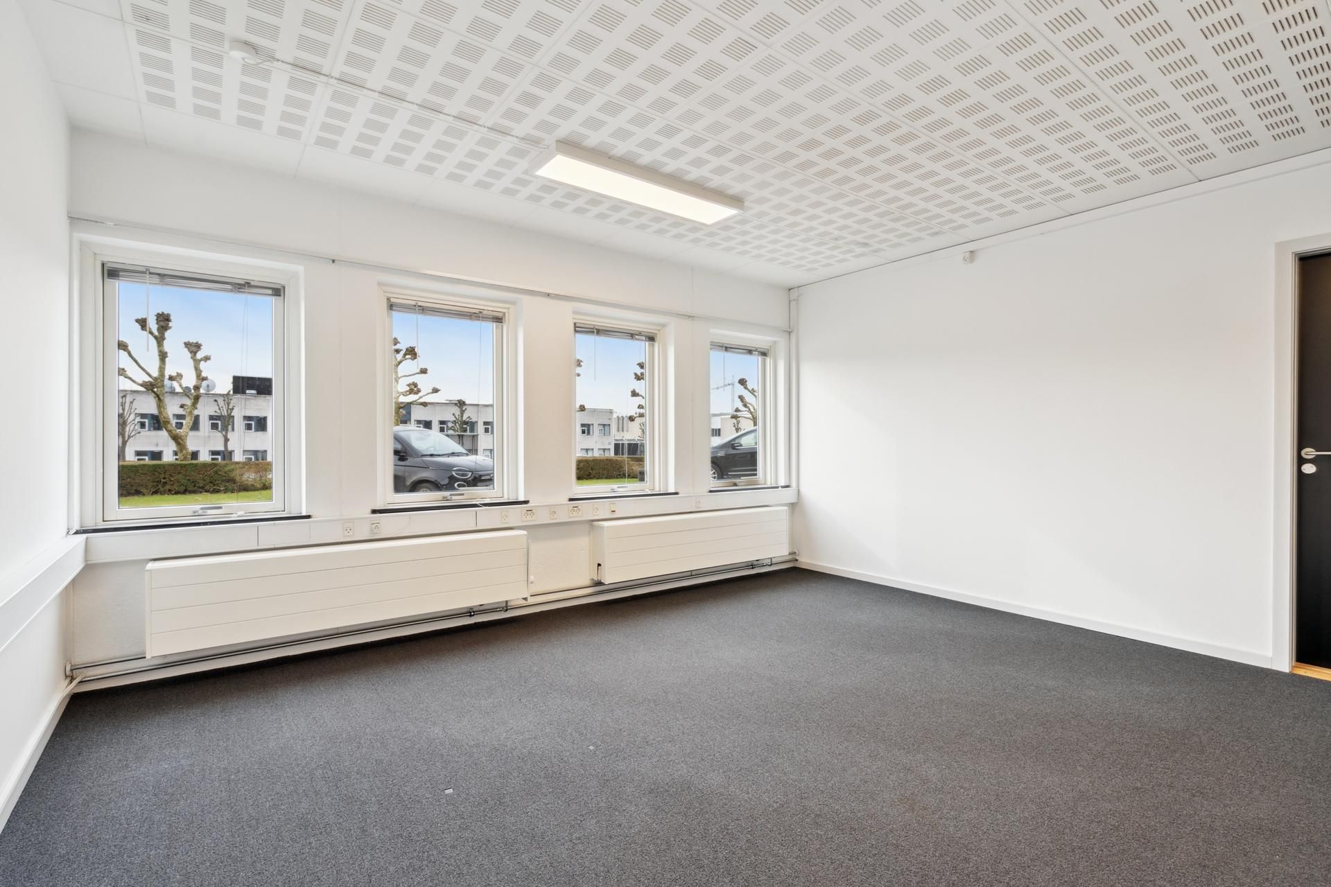 En tom kontorlokal med hvide vægge, højt til loftet og lyse vinduer med udsigt til et parkområde