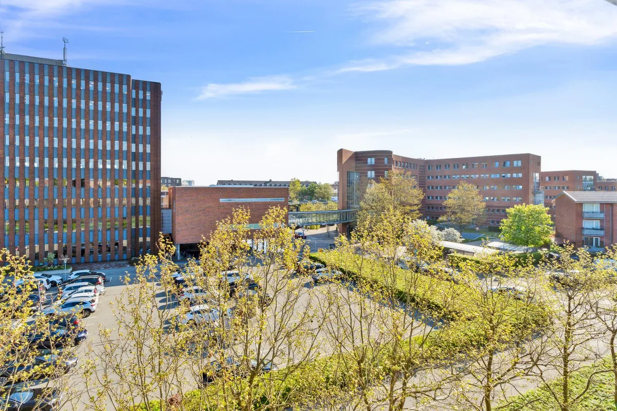 Store bygninger med glasvinduer, et slankt træ, parkeringsplads med parkerede biler, grønne buske og en bro i baggrunden, og