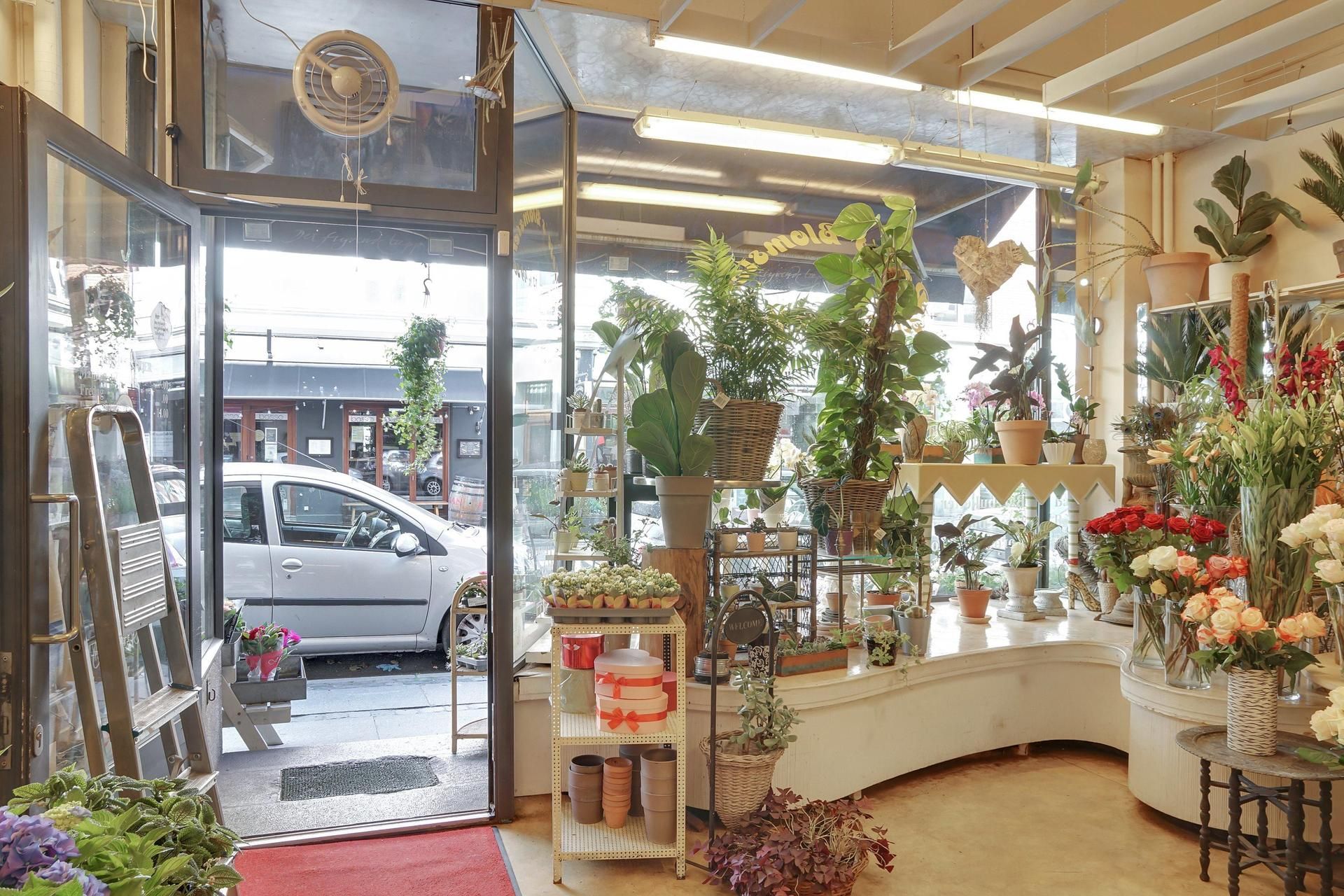 en blomsterbutik med blomster, planter og kranse på hylder og gulv. Butikken har åbne glasdøre og en rødt løbebånd