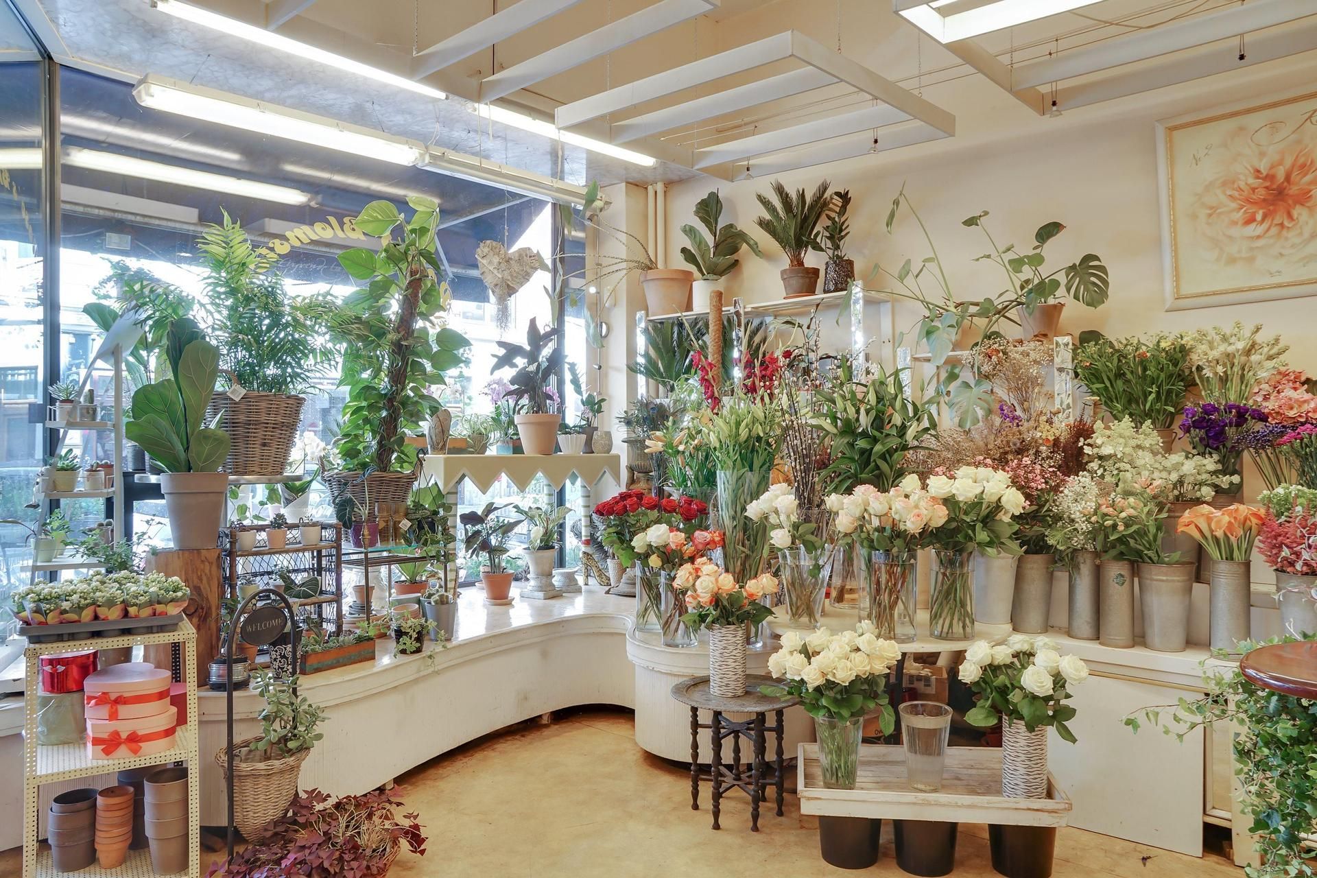 En plantebutik med forskellige planter og blomster i vase på hylder og stole i et lyst rum med lyse lofter og vinduer