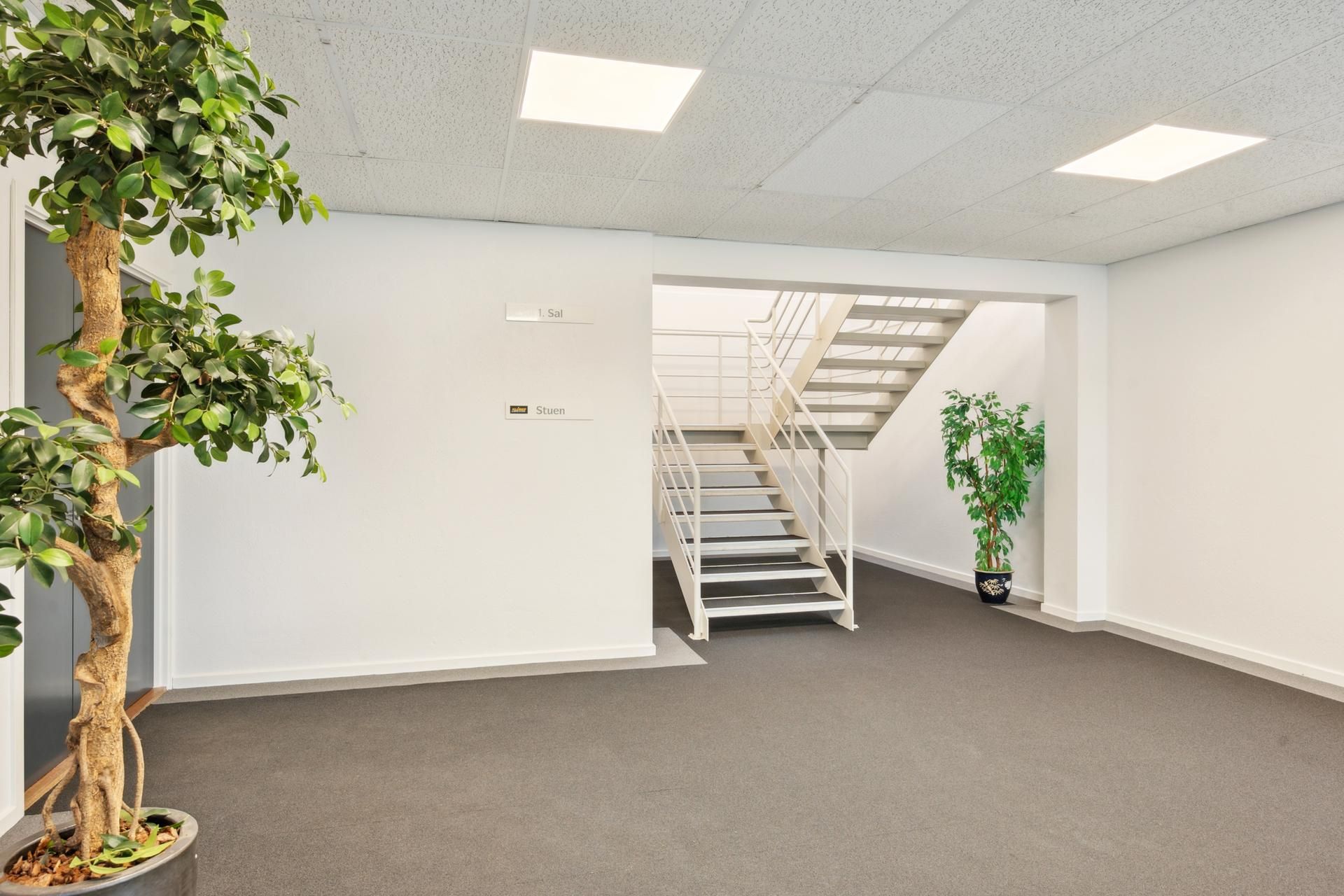 Kontorlokaler med hvidvæggede vægge, lyse loftslampe, to store planter og hvide trapper med håndtag