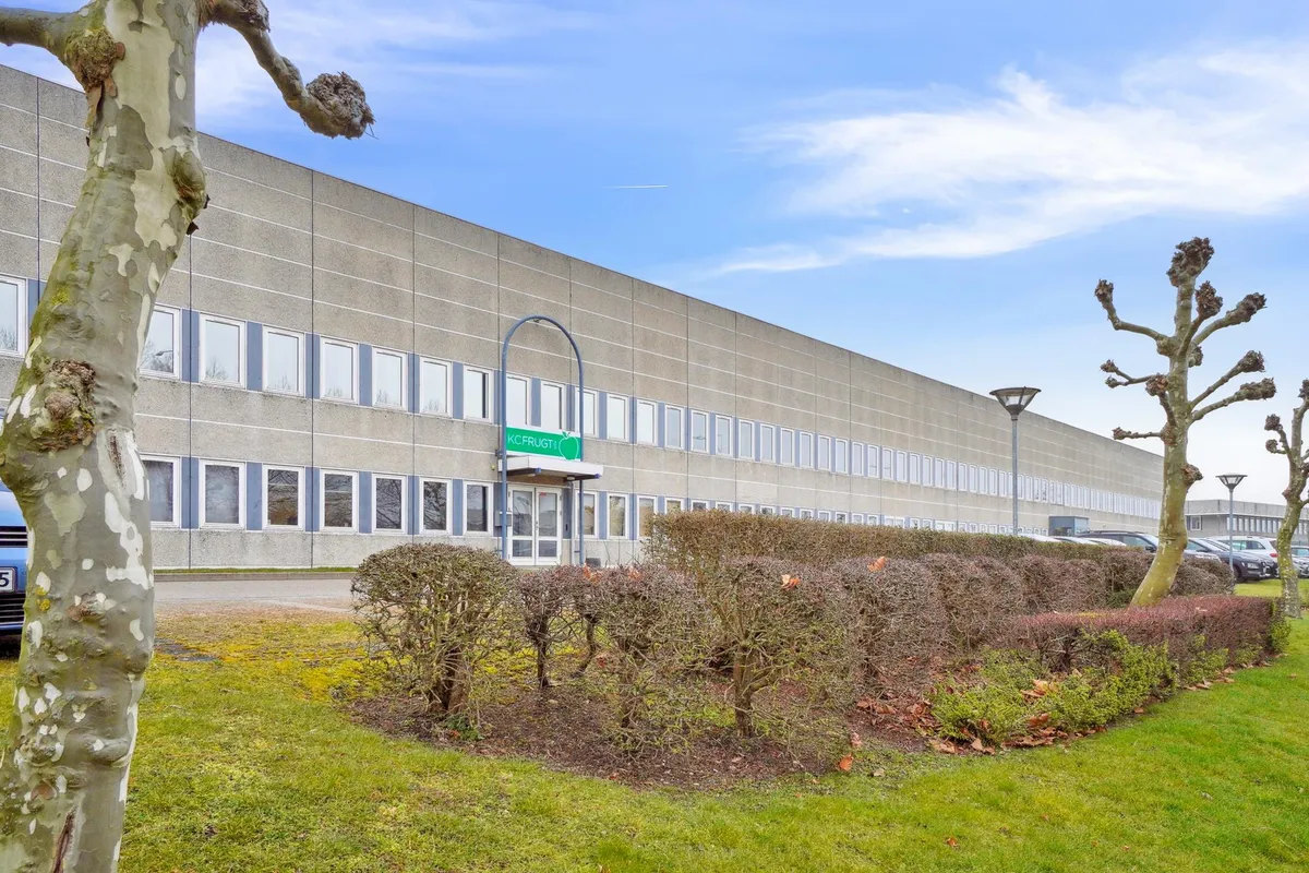 Lyst og velholdt kontorlejemål på 327 m² med moderne interiør og flotte træer foran. Grøn skilt med teksten KCFRUGT på