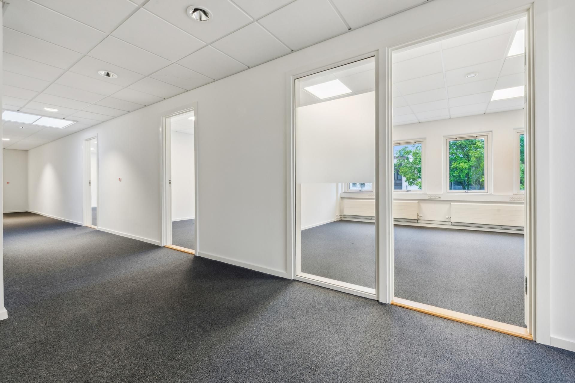 Et tomt kontor med hvide vægge og glasdøre, hvor der er glasruder og trægulve med lyse lofter