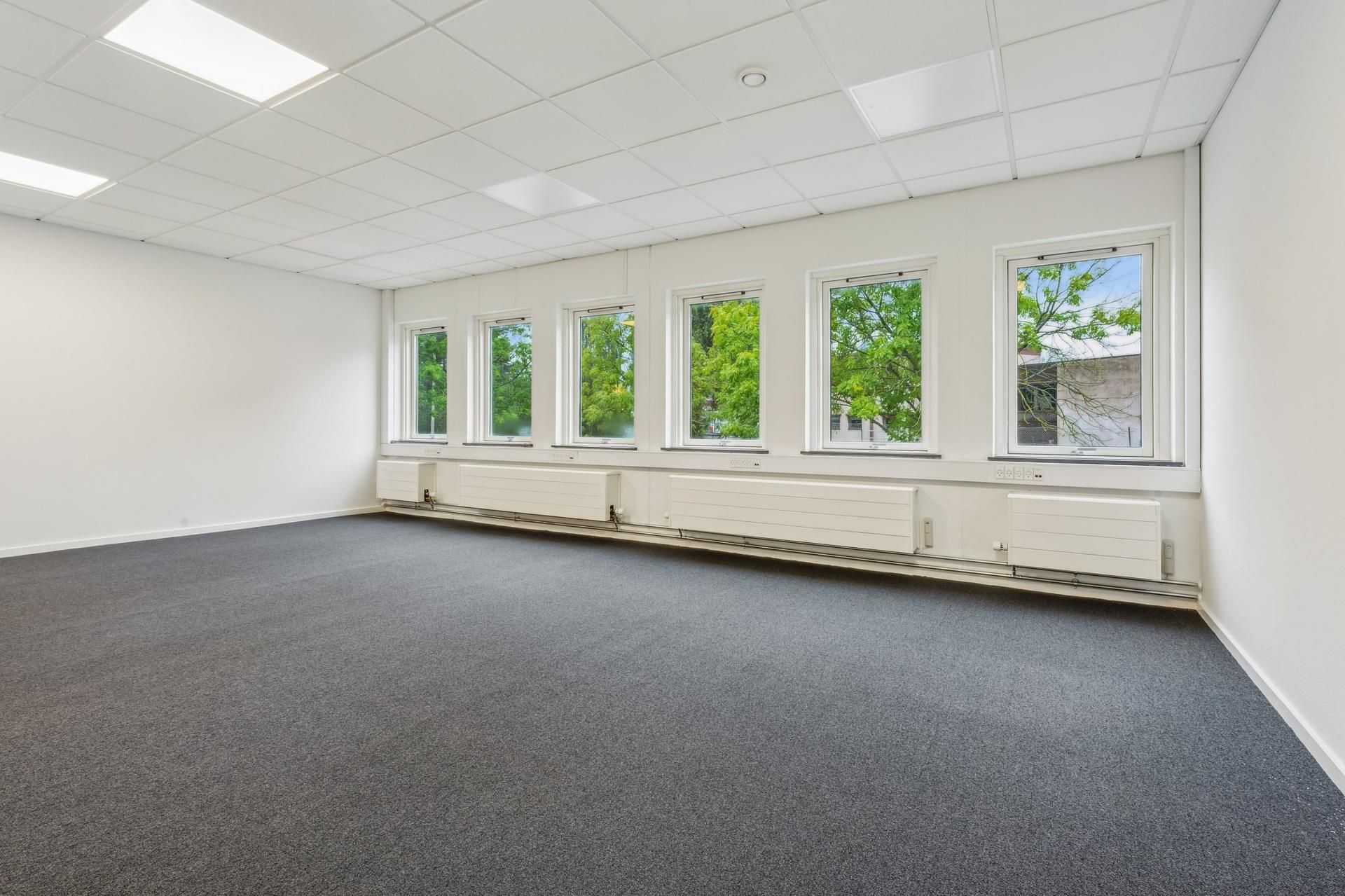 Velkommen til et nyt kontor med hvide vægge og loft, lyse hvide radiatorer, vinduer med grønne træer og lyseblå himmel.