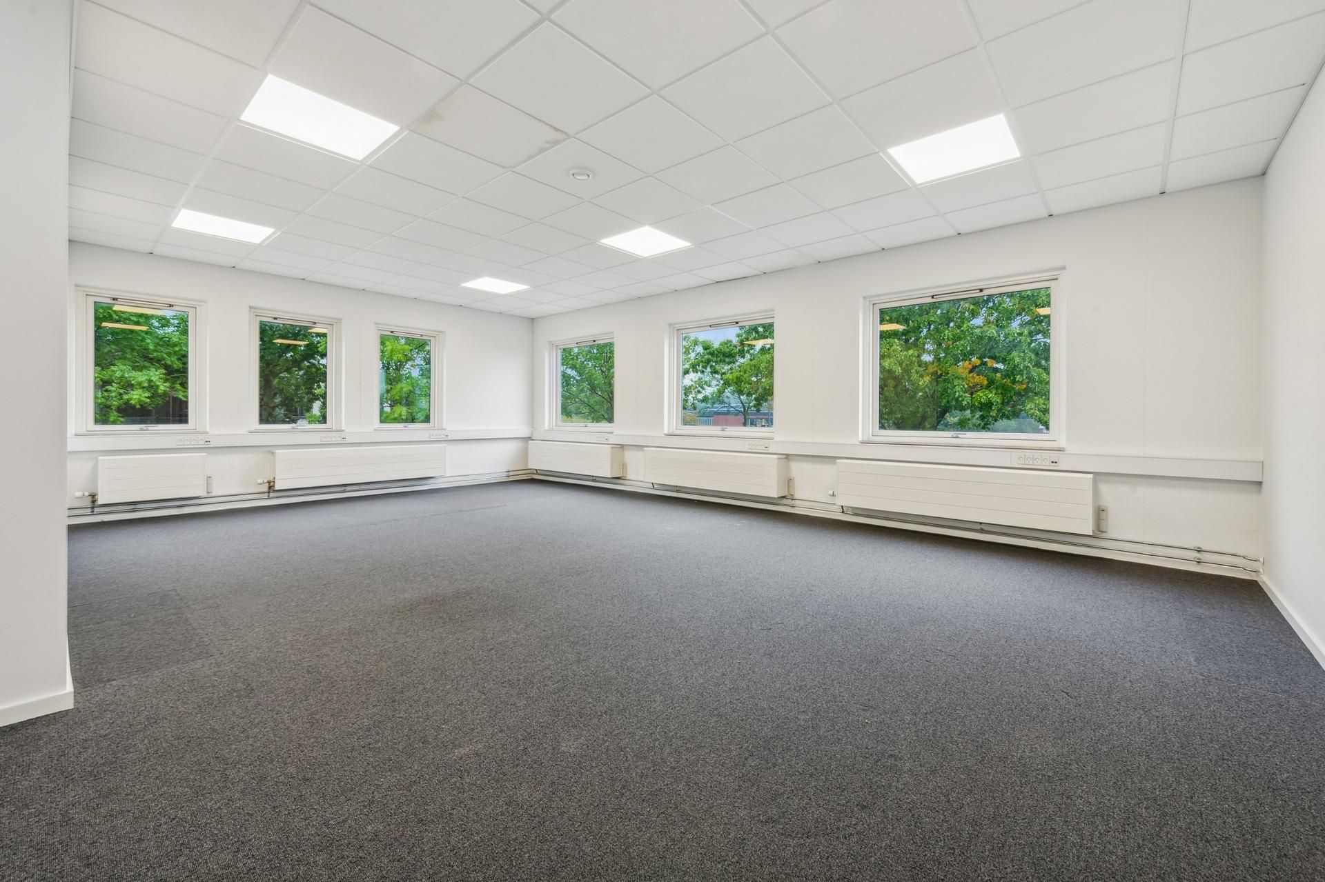 En stor rummelig kontoretage med hvide vægge, grå gulvbelægning, hvide loftspaneler og vinduer med udsigt til grønne træer