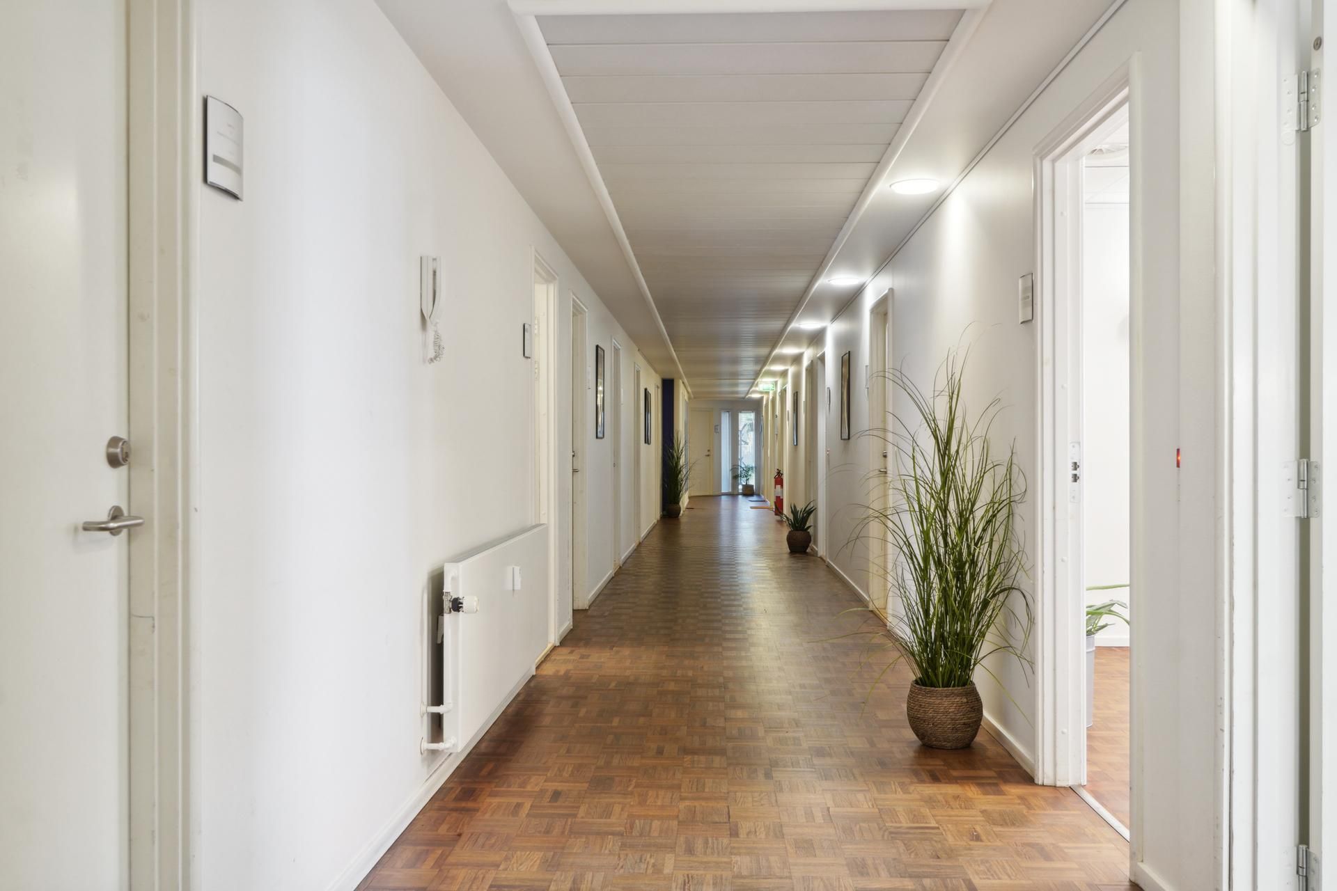 Lys, rummelig korridor med lyse vægge og trægulv, lysekroner i loftet, to store plantepotter og døre i hver ende