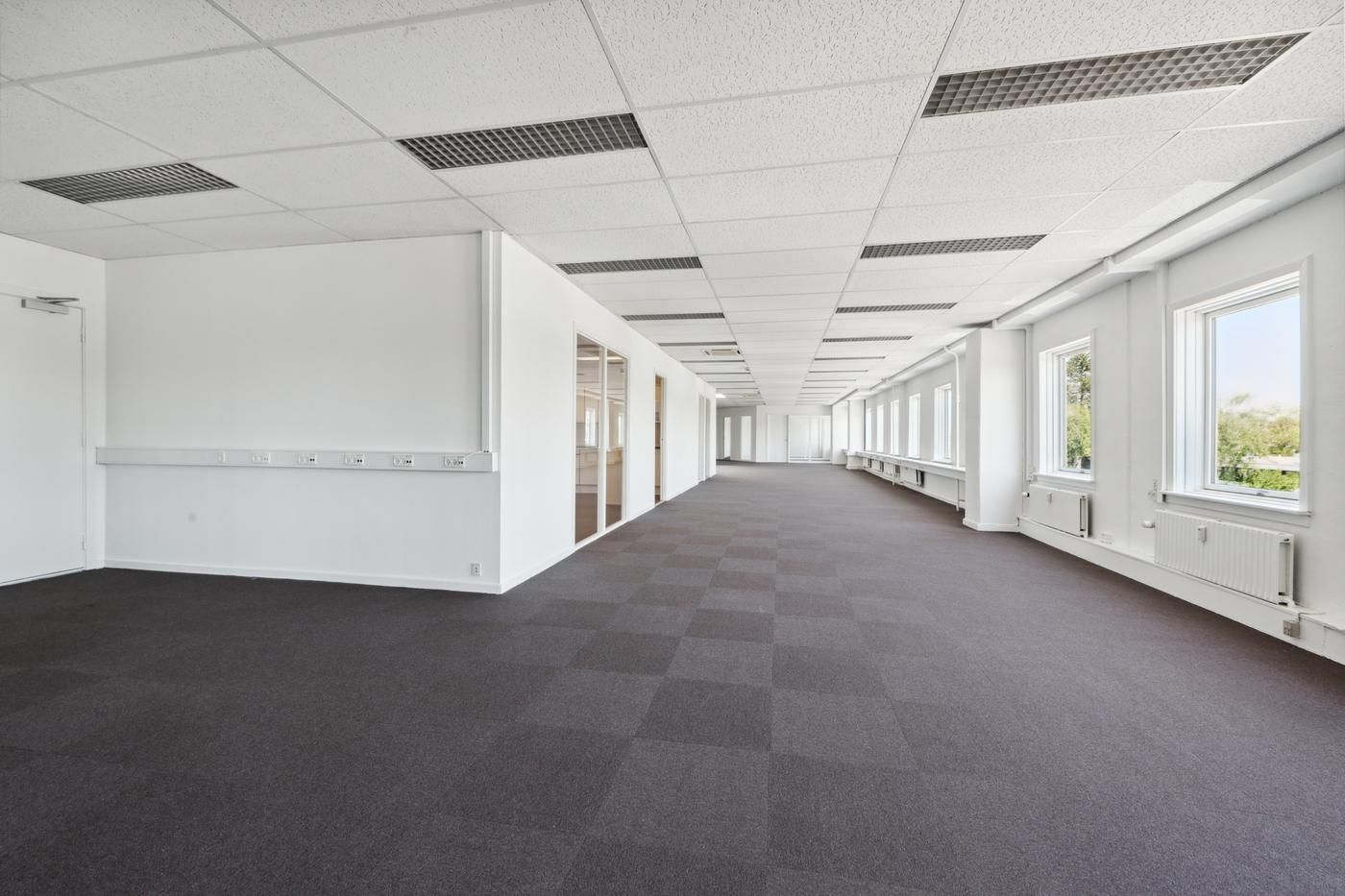 En lang og ren kontorgang med hvide vægge, mørke gulve og vinduer med udsigt til træer