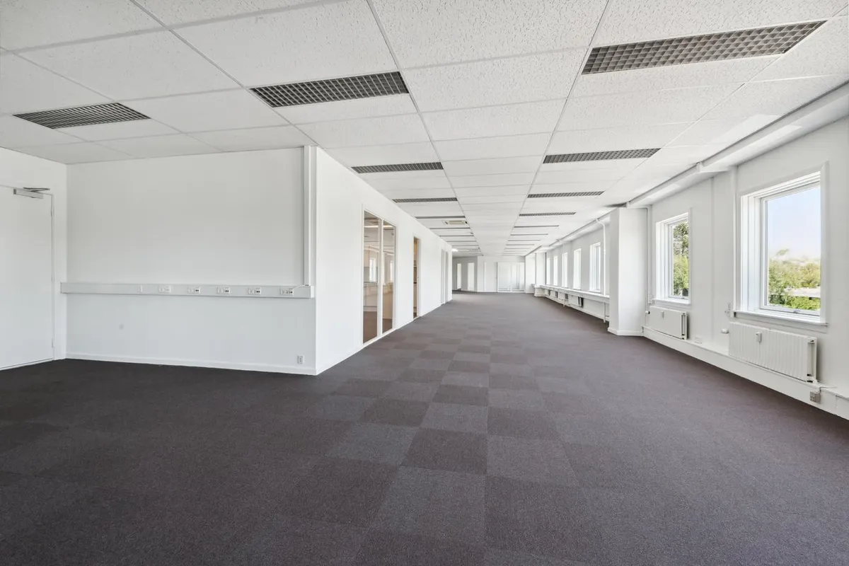 En lang og ren kontorgang med hvide vægge, mørke gulve og vinduer med udsigt til træer