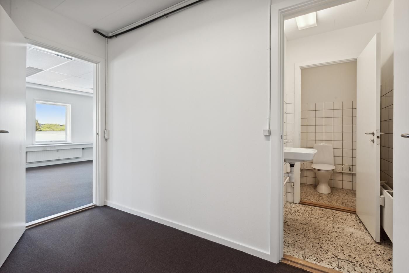 En tom hvid stue med gulvbelægning og åben dør og et vindue med udsigt til haven og skov.