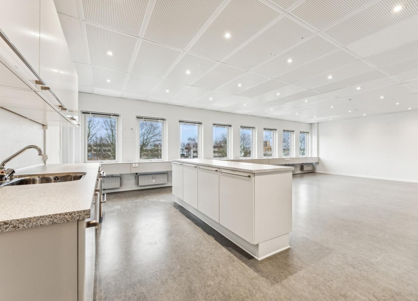 Stor kontorejendom med lyse lofter, hvide vægge og vinduer med udsigt til træer