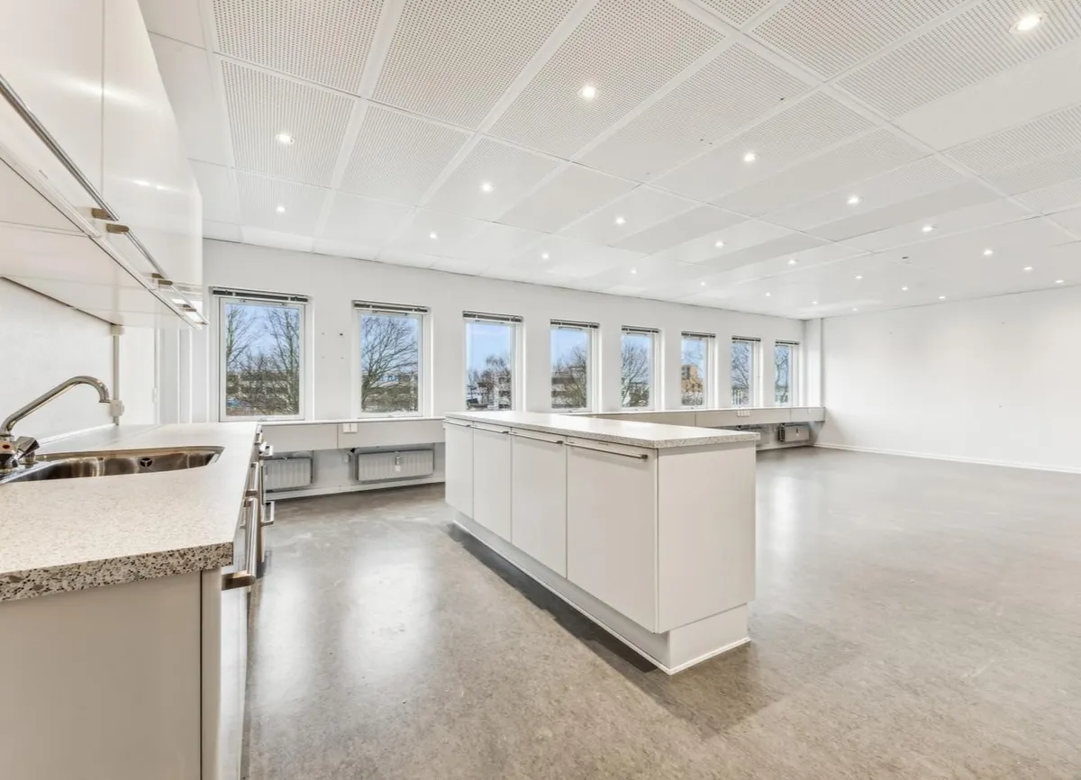 Stor kontorejendom med lyse lofter, hvide vægge og vinduer med udsigt til træer