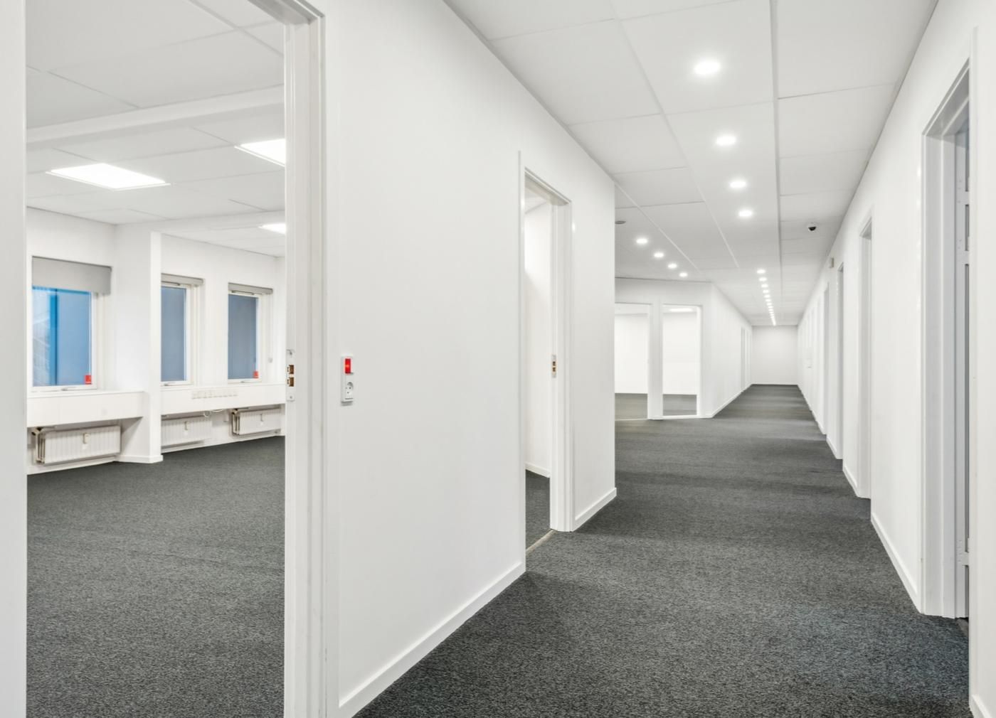 En lang og lys kontorhaller med hvide vægge og gulvbelægning samt store vinduer med lyseblå gardiner