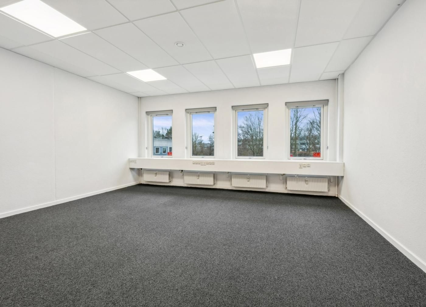 Kontorlokaler med lyse lofter og moderne vinduer, der vender ud mod skov og bygninger
