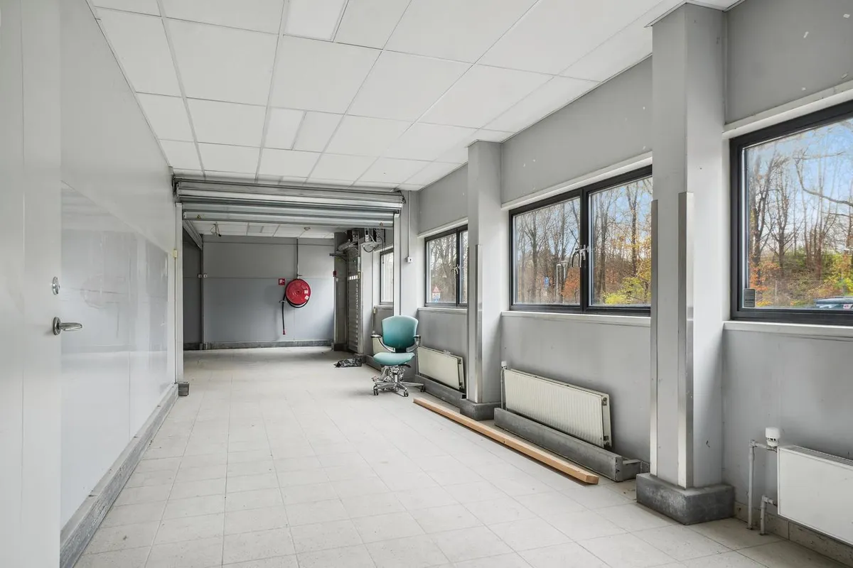 Ledig erhvervslokal i Gyngemosen med højt loft og store ruder udsat mod skov med røde blade og lyse himmel