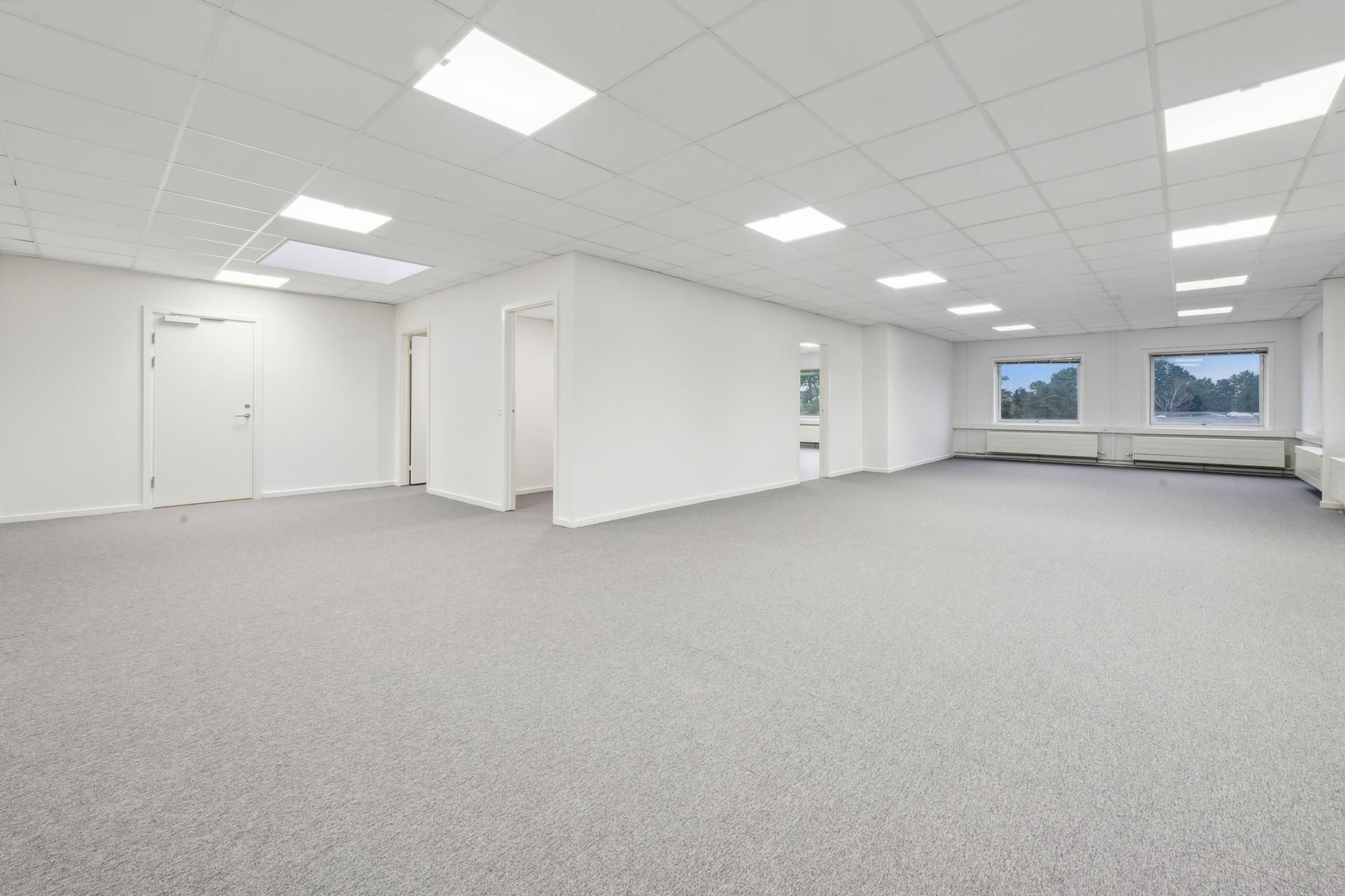 To vinduer i højde med hverandre, der vender ud mod en park. En dør og to indgange i hvidt og lysegråt loft, gulv og vægge.
