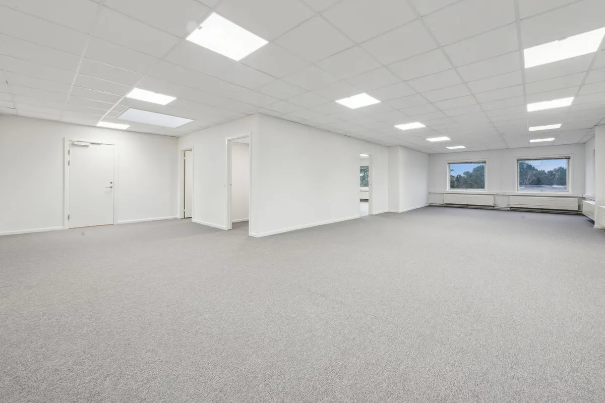 To vinduer i højde med hverandre, der vender ud mod en park. En dør og to indgange i hvidt og lysegråt loft, gulv og vægge.