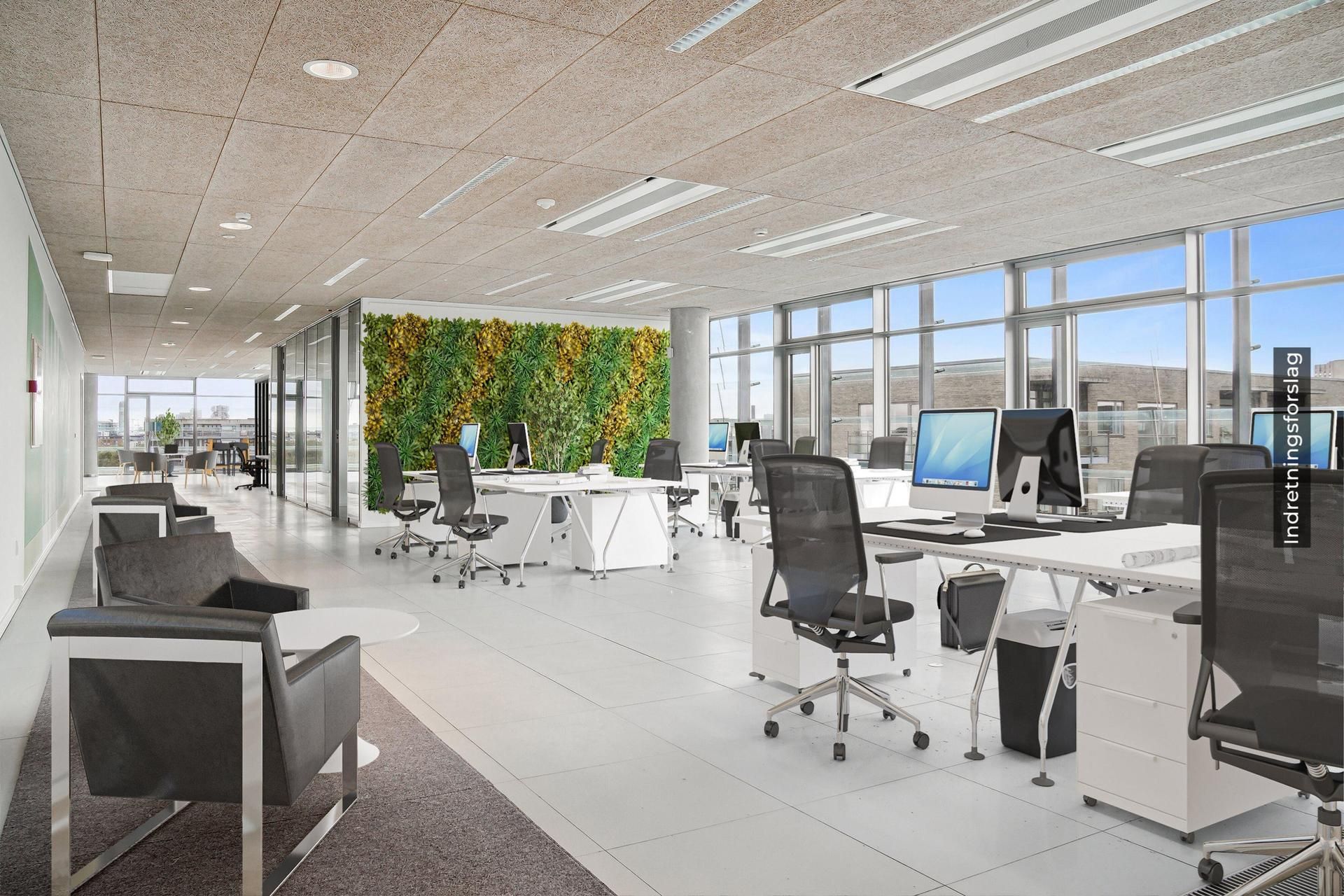 Kontor med lysegule vægge, hvide skriveborde, grønne vægplanter, lysegule gulve, sorte og hvide sædestole, og store