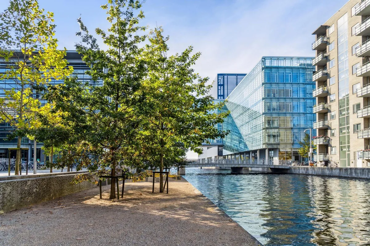 Bygninger og en vandvej med træer og en bro med cykler og stelt langs vandet