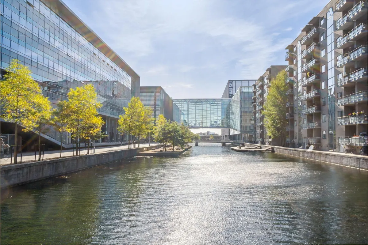 En kanal med grønne vandplanter og moderne bygninger med glasruder og altaner