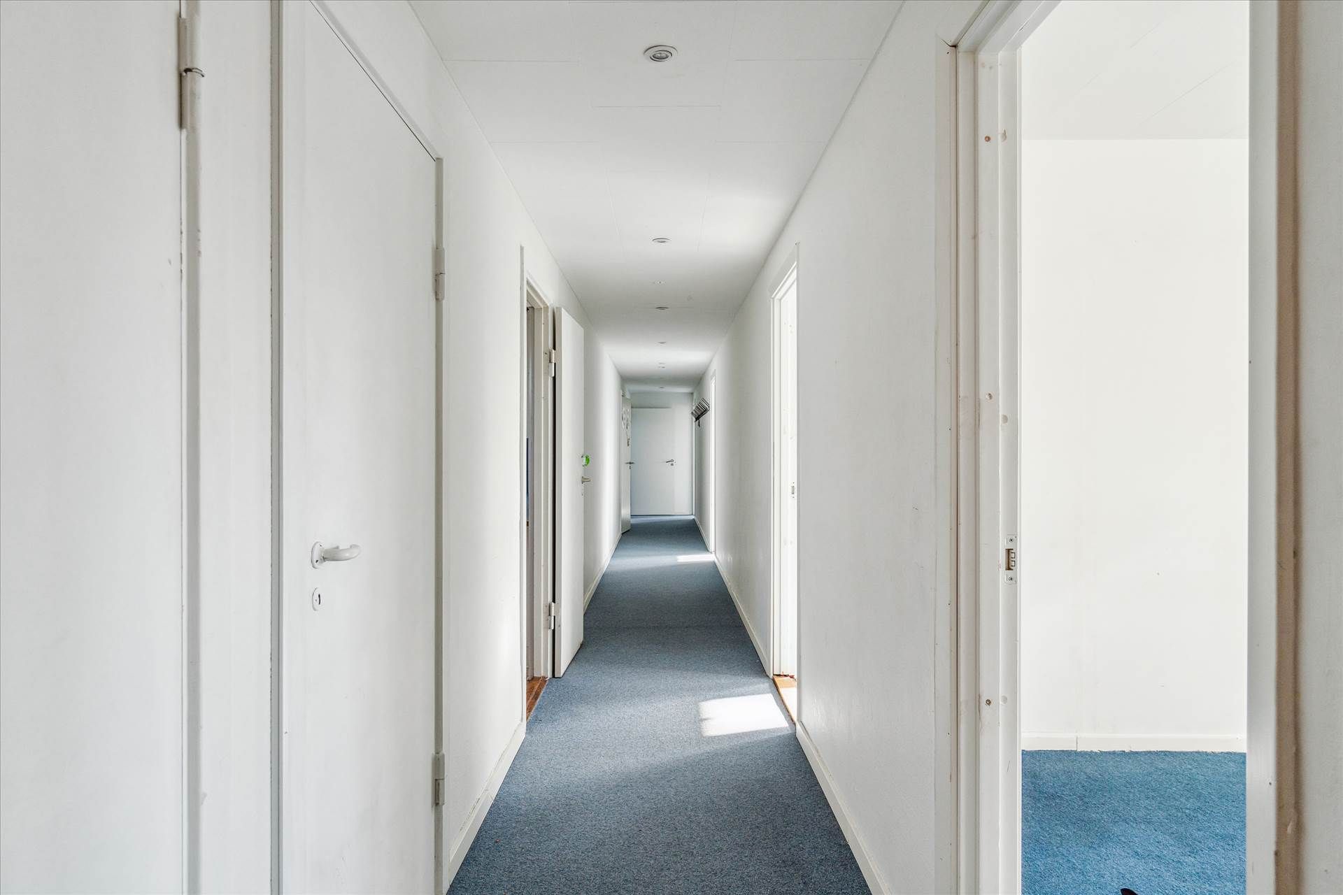 Lang, tæt fordelingskorridor med hvide vægge, blå gulvtæppe og hvide døre i begge ender