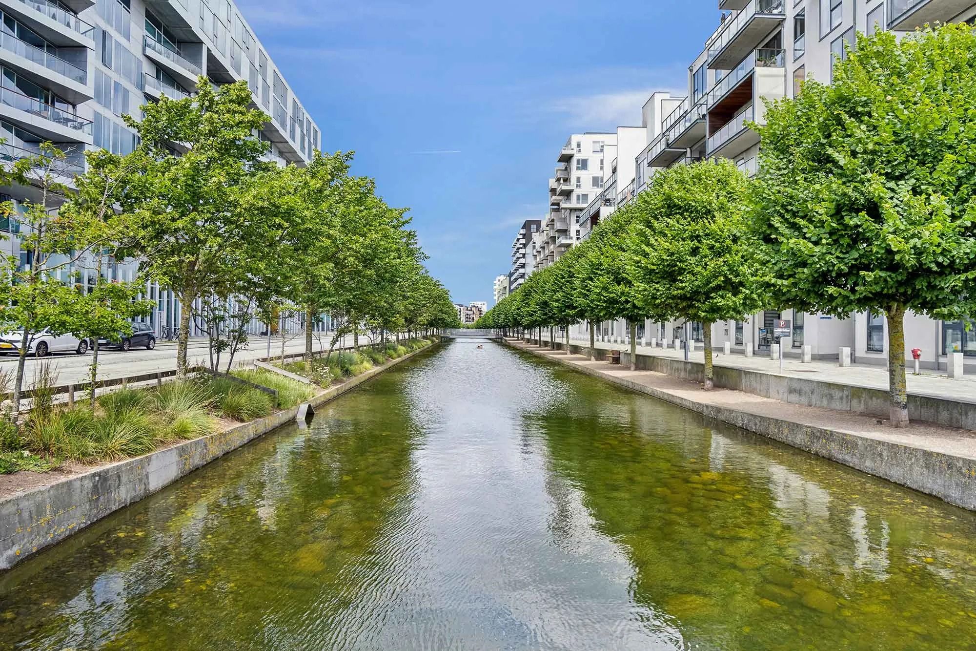 Lejlighederne ligger langs en grøn, vandfyldt kanal med høje bygninger og træer langs bredderne
