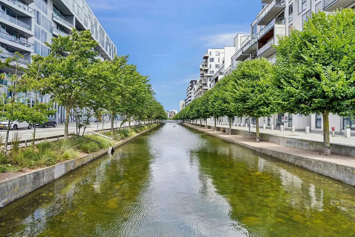 Lejlighederne ligger langs en grøn, vandfyldt kanal med høje bygninger og træer langs bredderne
