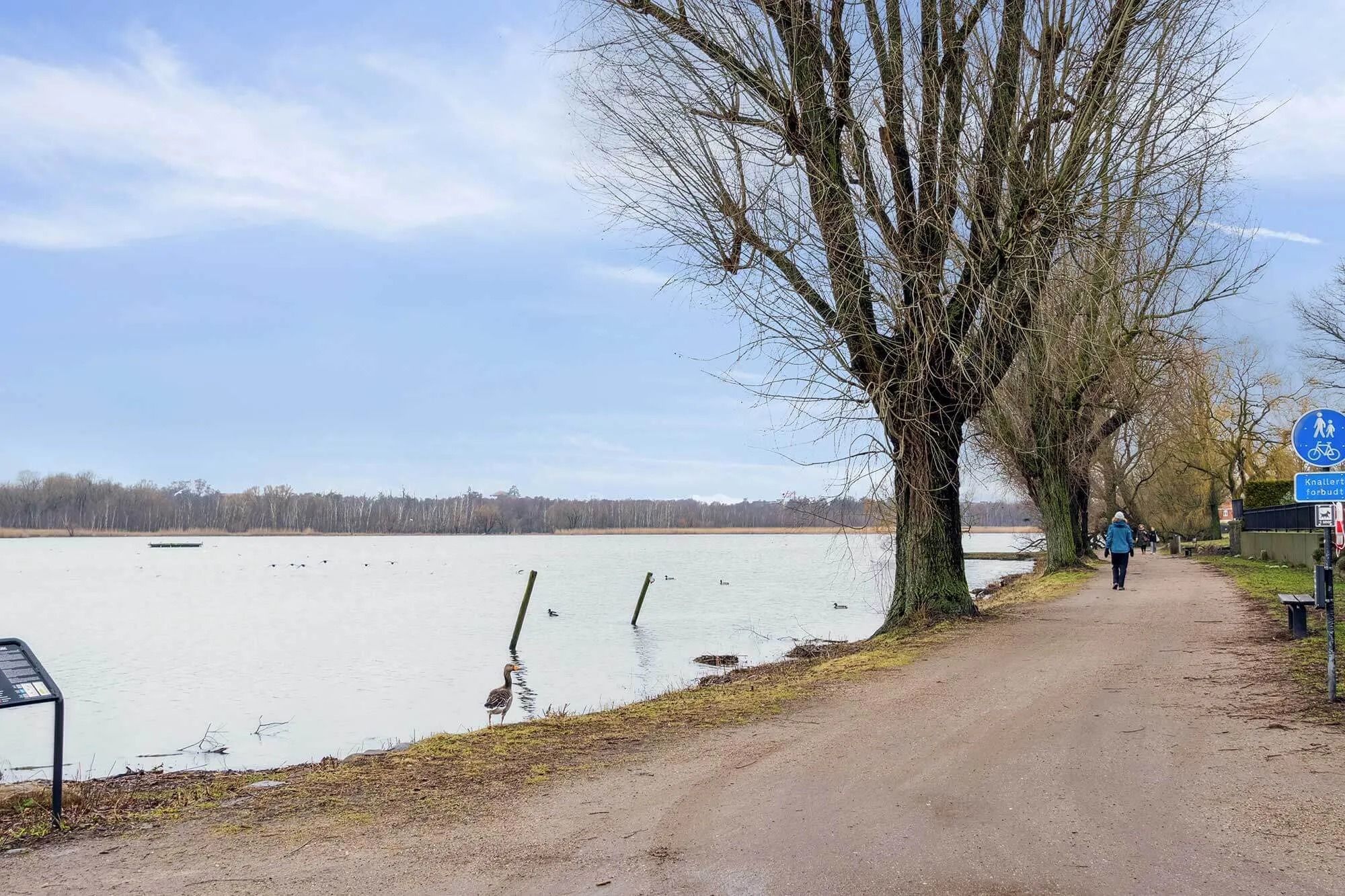 Langs vandkanten er der en sti med bænke og skilte og en gående person i hvid jakke. Søen er omgivet af træer og har en lys