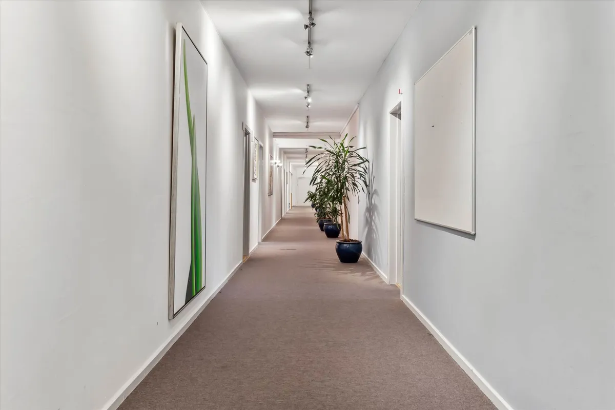 En lang og blank korridor med hvide vægge, hvor der er to store malerier og tre store lysekroner. Der er en række træplanter