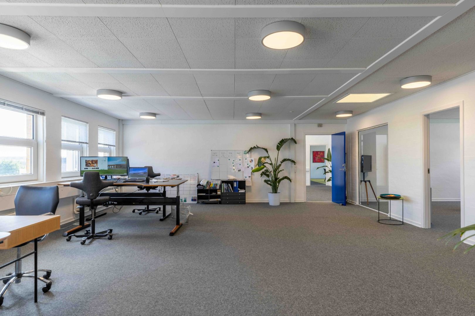 Moderne kontor med to skriveborde og ergonomiske stole samt en høj plante i en hvid vase og to computere på skrivebordene