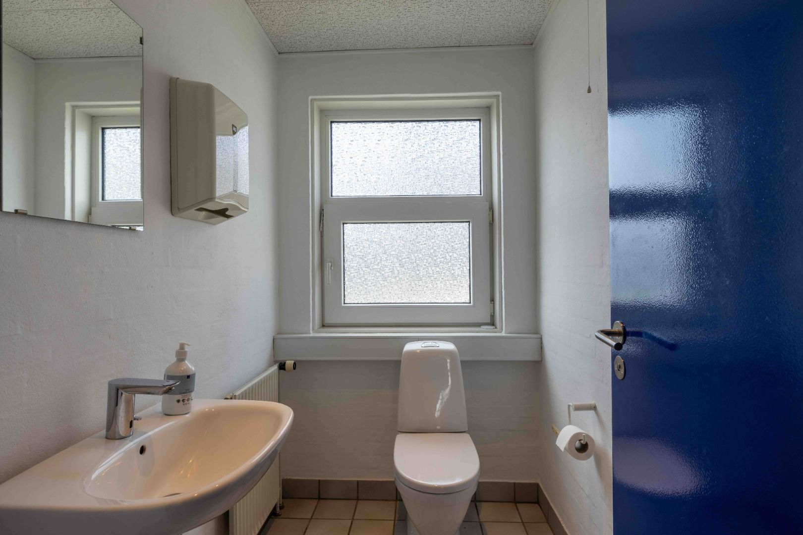 Badeværelse med toilet, håndvask, håndsæbe og toiletpapir. Spejl og håndklædetørrer samt en lille radiator. Vindue med