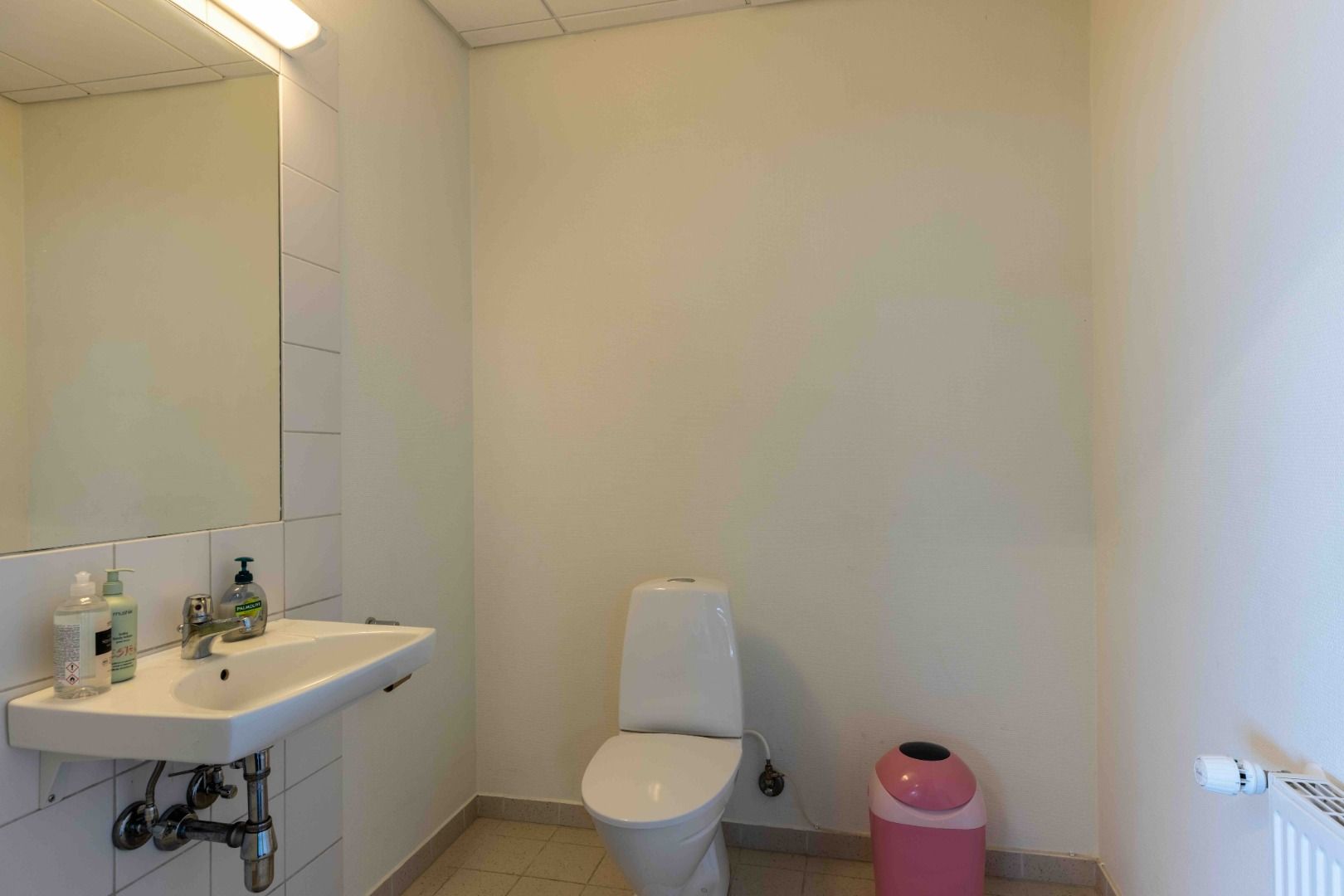 Et lille badeværelse med en hvid toilet, hvidt vasketøjsskab og et sæbeflaske og håndsæbe på vasketøjsskabet.