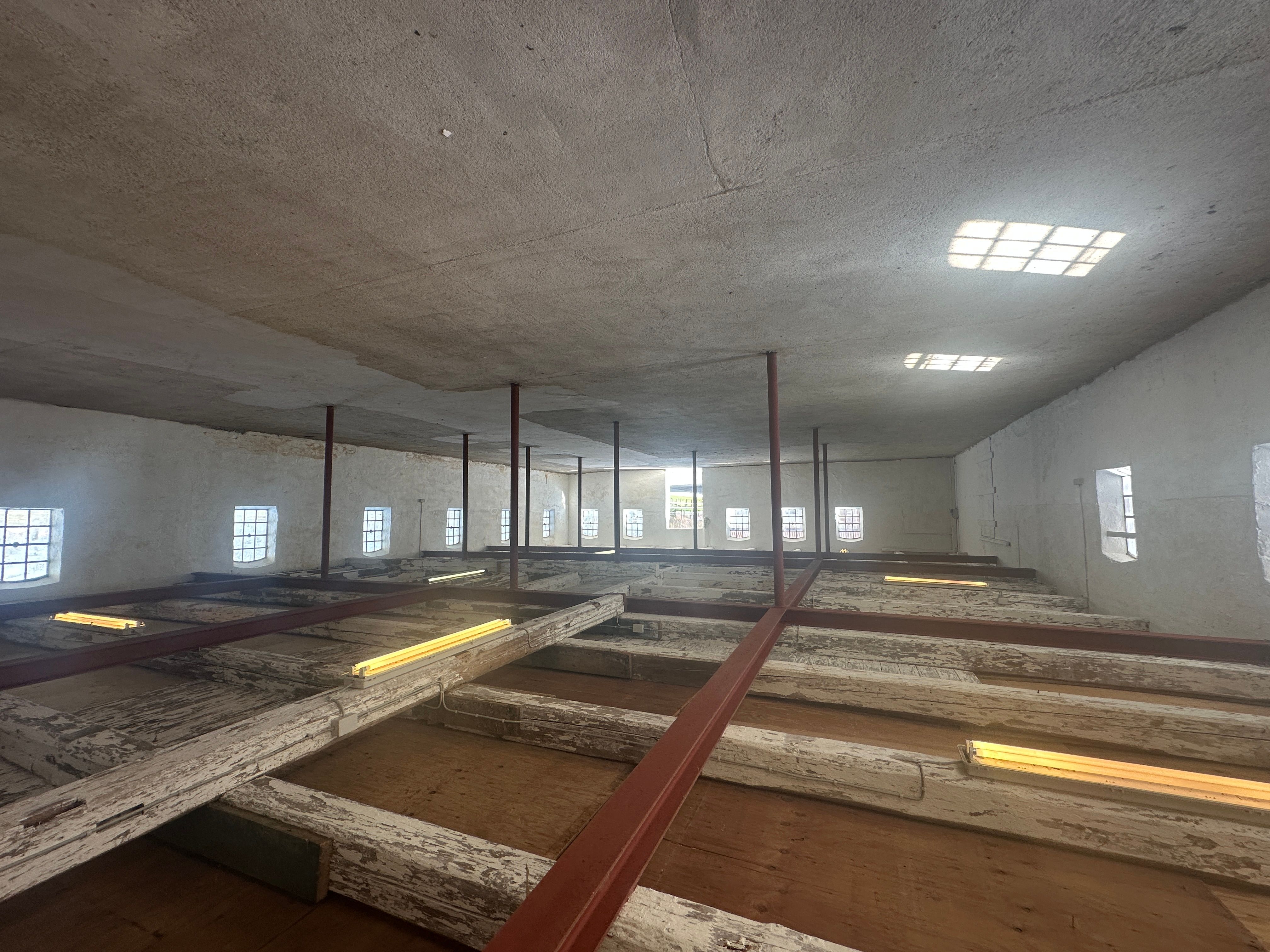 Lager med gulv, loft og vinduer i Fredensborg. Trægulv, røde stålbjælker og lysekroner. Rensede vinduer med udsigt til