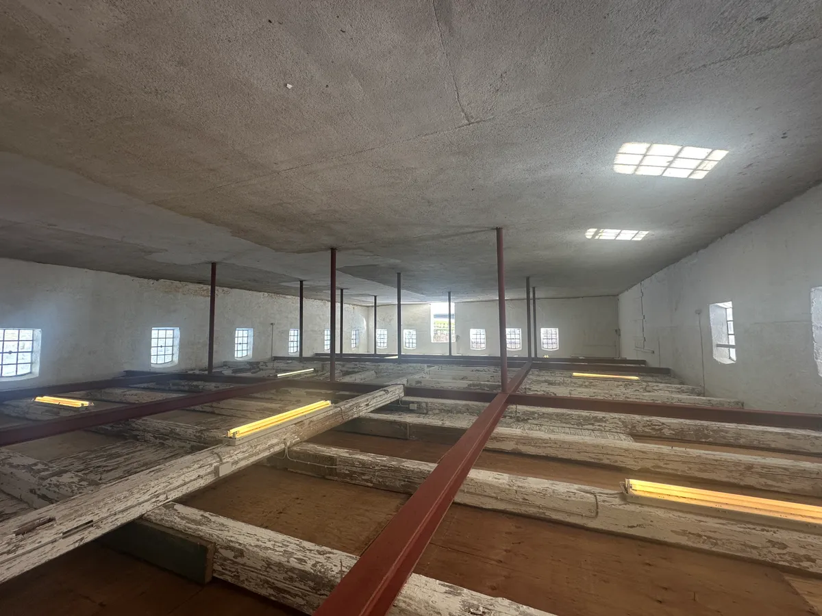 Lager med gulv, loft og vinduer i Fredensborg. Trægulv, røde stålbjælker og lysekroner. Rensede vinduer med udsigt til